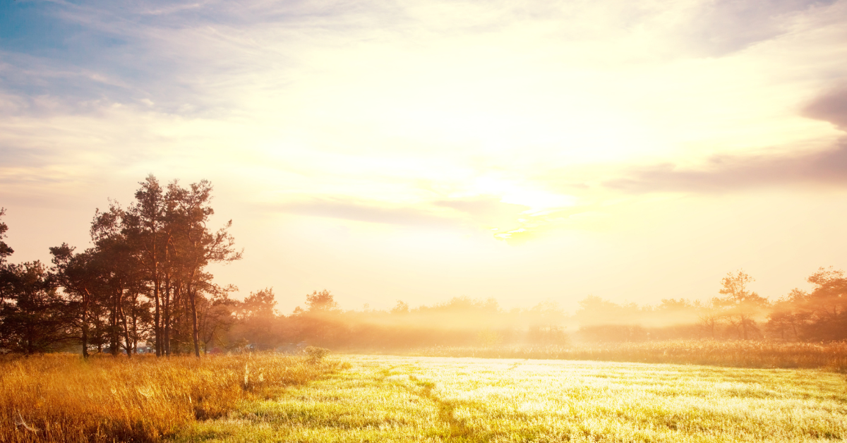 Rural England – your time has come…